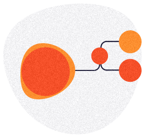 Experiencia de cliente y optimización de procesos